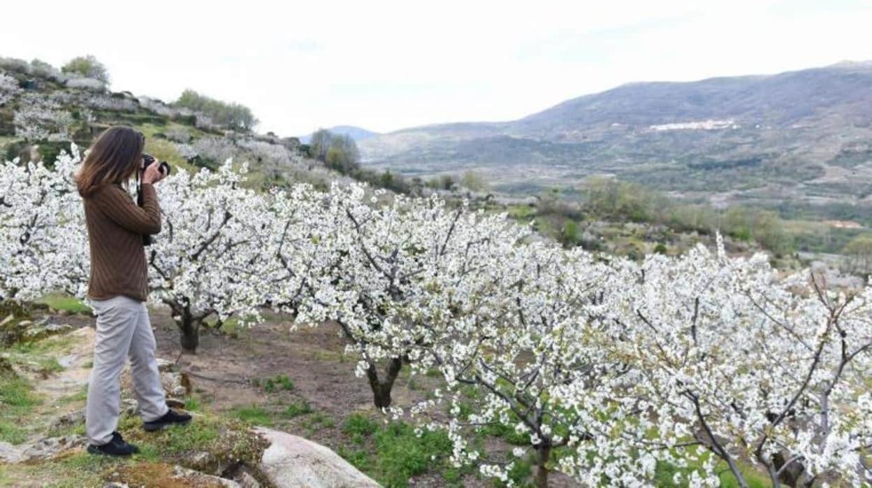 El Rincon De Markesa 플라센시아 외부 사진